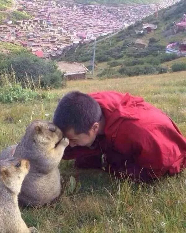 Pictures that radiate positive energy - #5 