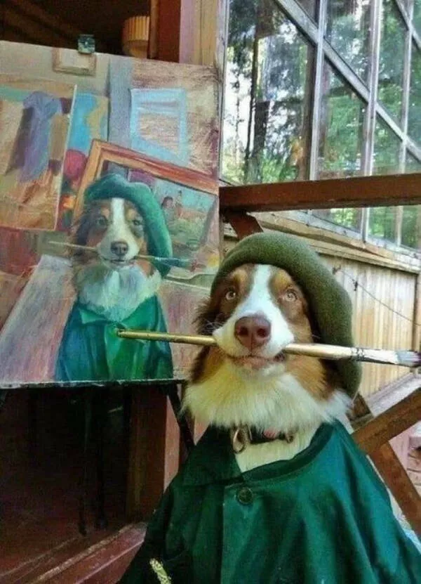 Hilarious pet antics that brighten your day - #12 