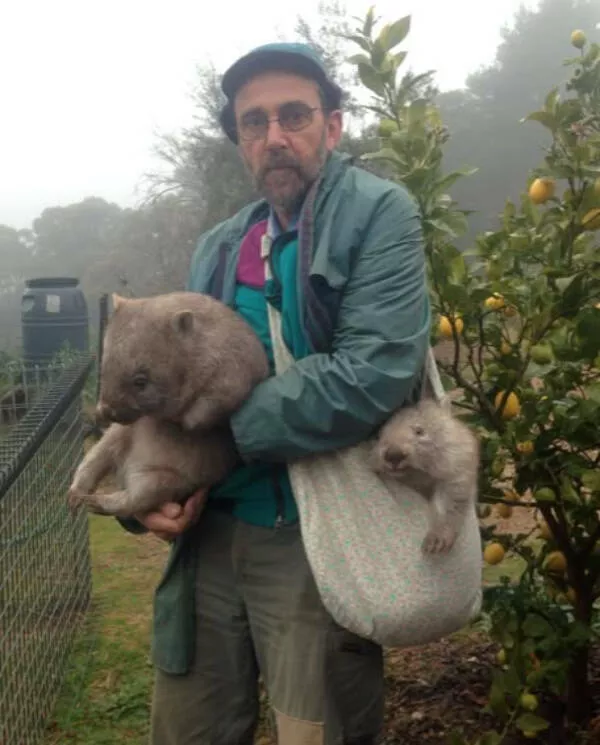 Hilarious pet antics that brighten your day - #19 