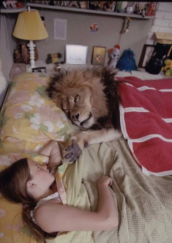Hilarious pet antics that brighten your day