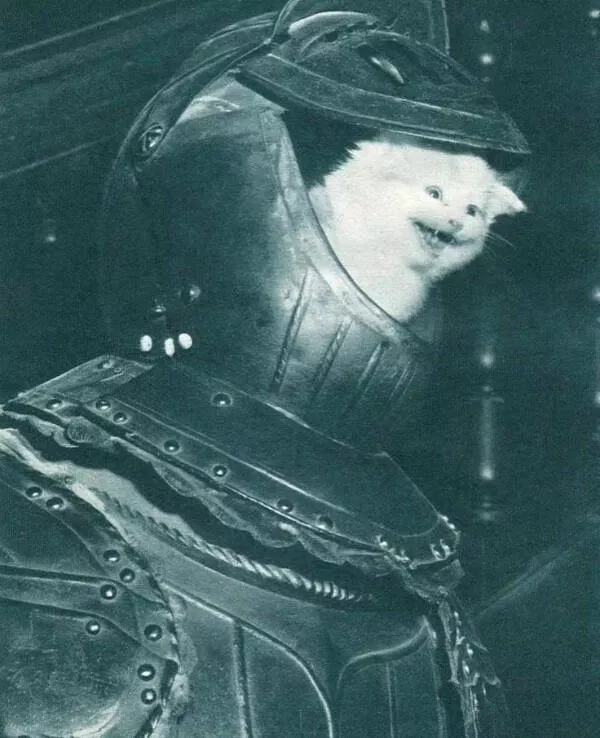 Hilarious pet antics that brighten your day - #9 