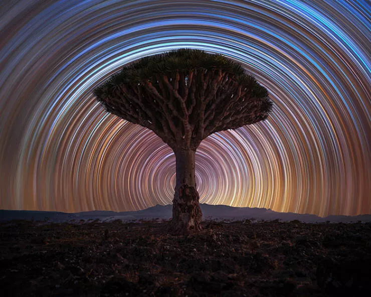 Spectacular space photography that captures distant galaxies - #26 Star Trails Over the Dragon’s Reach