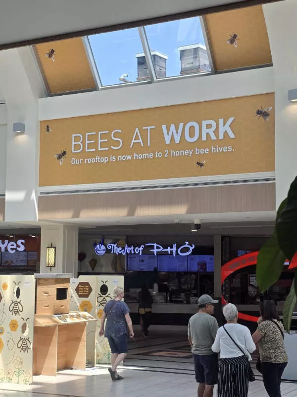 Captivating moments frozen in time - #19 A mall in Oakville, Ontario, has actual beehives buzzing on the roof. Captivating moments frozen in time - #19 A mall in Oakville, Ontario, has actual beehives buzzing on the roof.