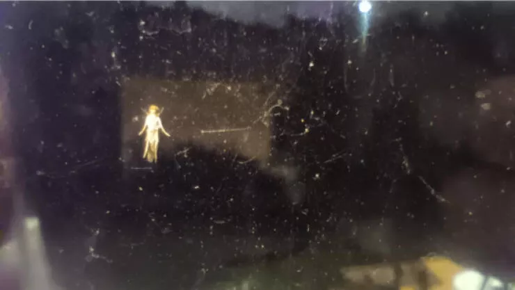 Captivating moments frozen in time - #7 There’s a bug on my window that looks like it flew straight out of a fairy tale. Captivating moments frozen in time - #7 There’s a bug on my window that looks like it flew straight out of a fairy tale.