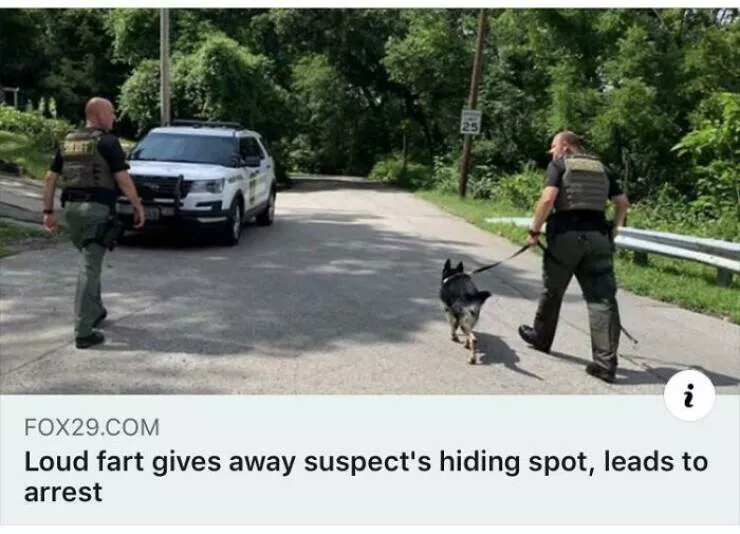Screenshots worthy of the lol hall of fame - #9 