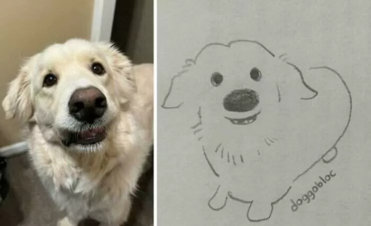 Irresistibly cute dogs that steal your heart - #36 