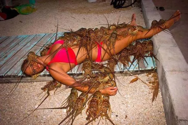 Picdump 134 - #22 