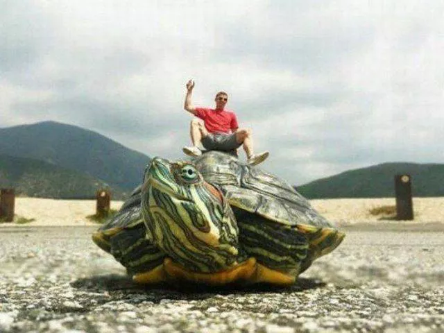 Picdump 134 - #27 
