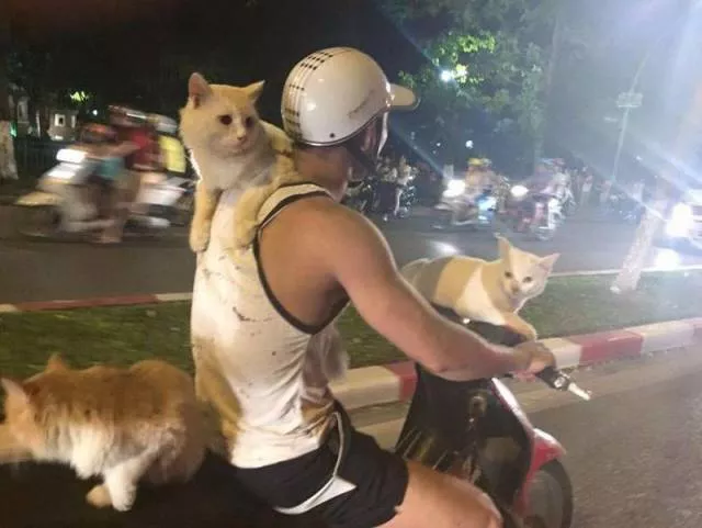 Picdump 134 - #32 