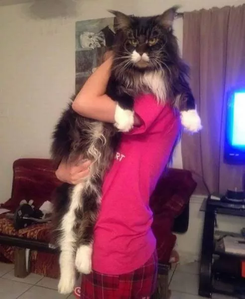 Picdump 134 - #36 