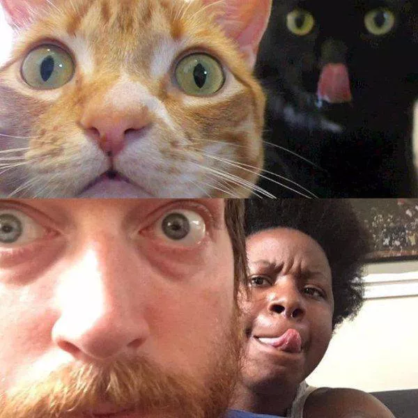 Picdump 134 - #58 