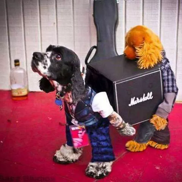 Picdump 134 - #79 