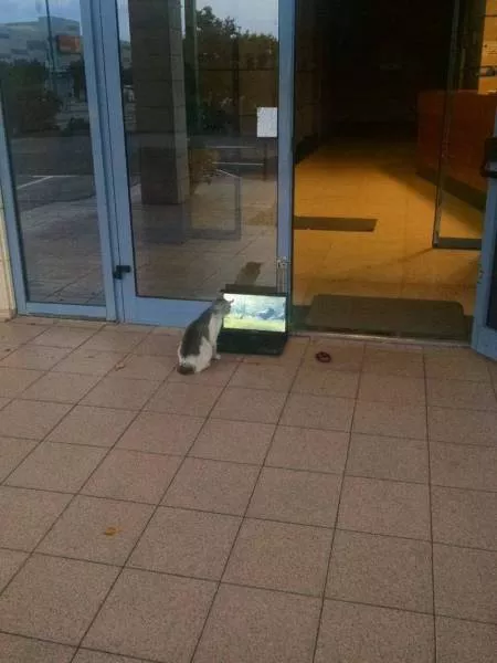Picdump 134 - #84 