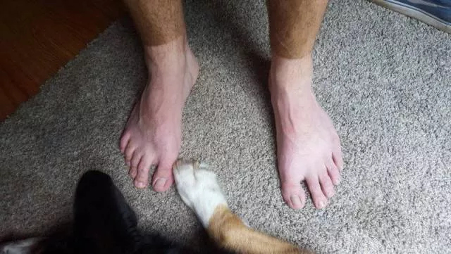 Picdump 134 - #85 