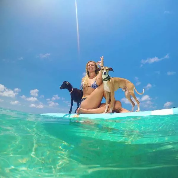 Picdump 134 - #87 