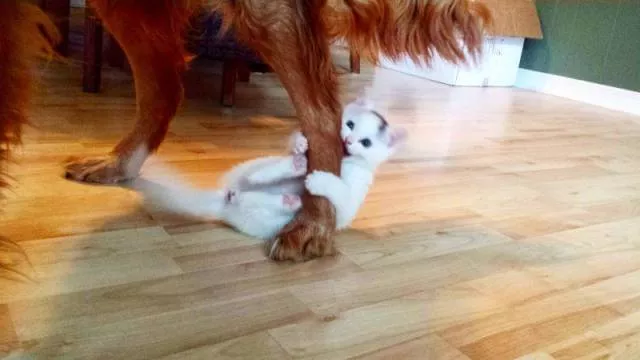 Picdump 134 - #89 