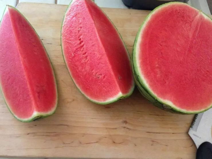 Picdump 1063 - #10 