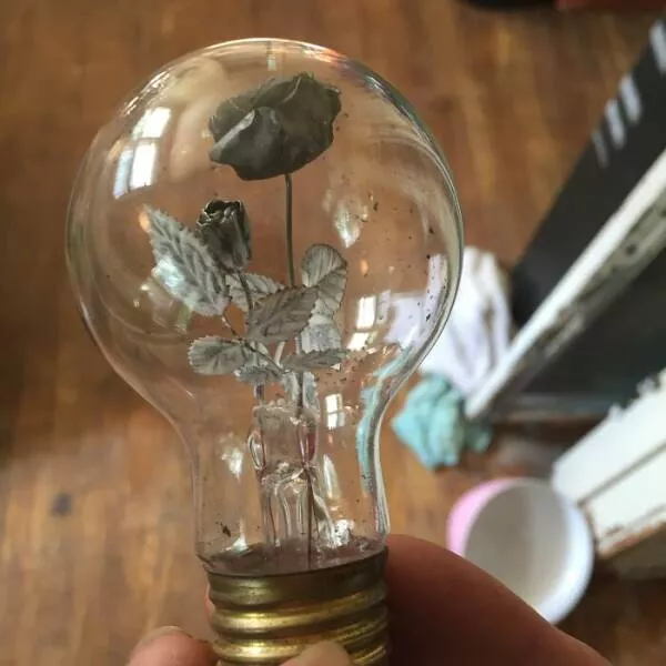 Unusual finds unearthed inside forgotten houses - #1 Discovered a glowing treasure from the 1940s in my workplace attic—a rare Aerolux rose-shaped lightbulb straight out of history!