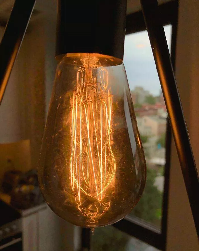 Unusual finds unearthed inside forgotten houses