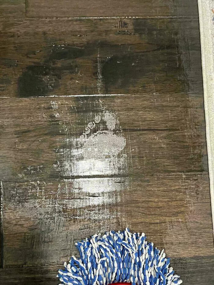Unusual finds unearthed inside forgotten houses - #36 Mopped the floors and watched a barefoot footprint appear out of nowhere... thanks, haunted house.