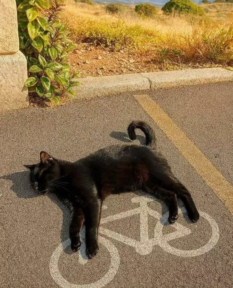 Picdump 1063 - #18 