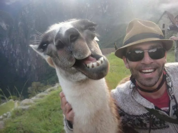 Picdump 1063 - #44 