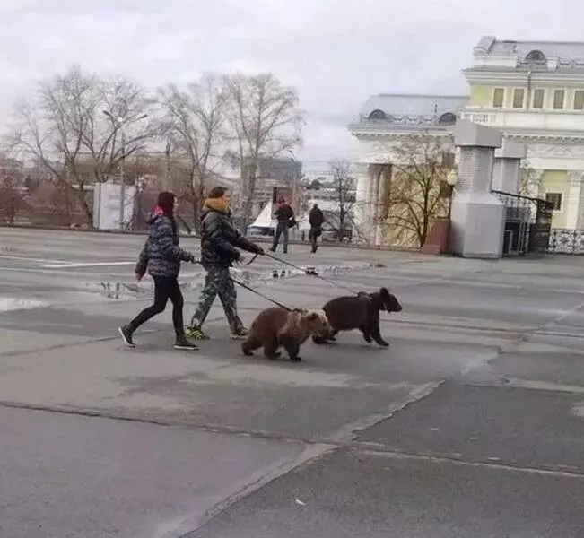 Picdump 1063 - #6 