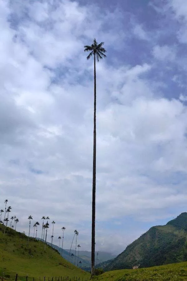 Supersized wonders that will leave you speechless - #18 