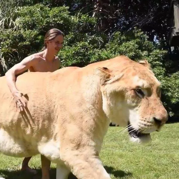 Supersized wonders that will leave you speechless - #22 