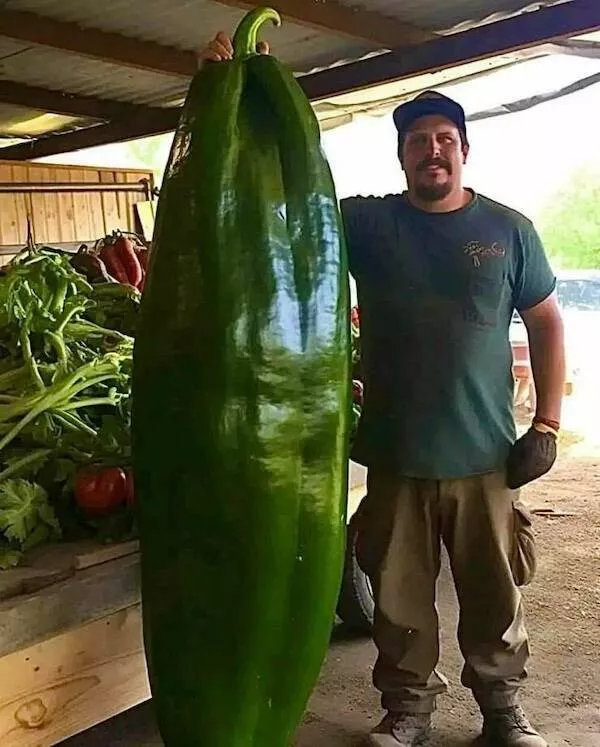 Supersized wonders that will leave you speechless - #27 