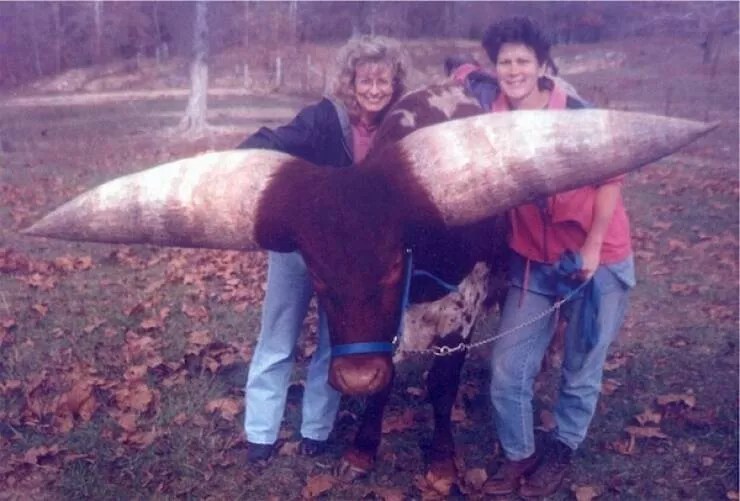 Supersized wonders that will leave you speechless - #4 
