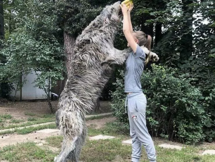 Supersized wonders that will leave you speechless - #6 