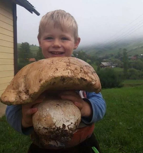 Supersized wonders that will leave you speechless - #8 
