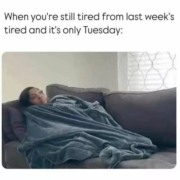 Laughing through lifes mayhem with top notch memes - #11 