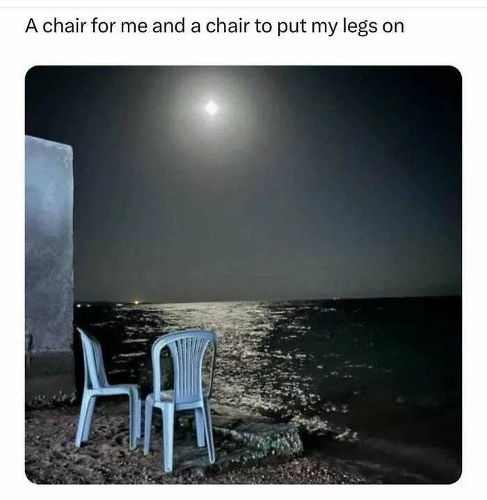Laughing through lifes mayhem with top notch memes - #13 