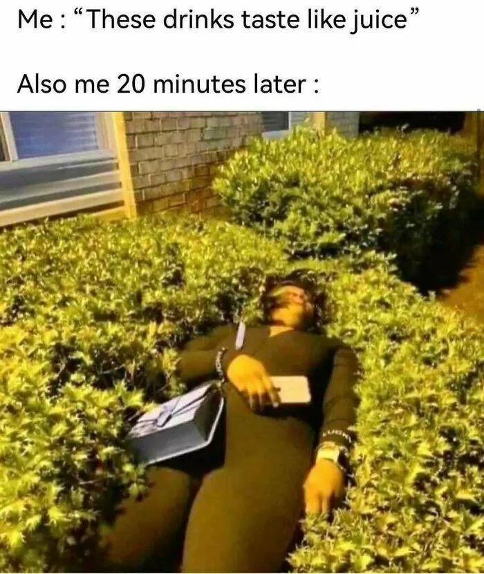 Laughing through lifes mayhem with top notch memes - #17 