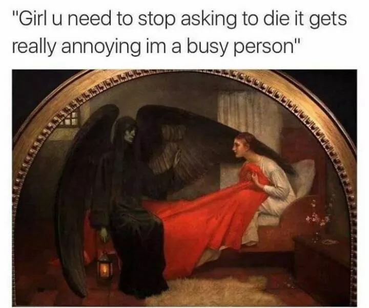 Laughing through lifes mayhem with top notch memes - #18 