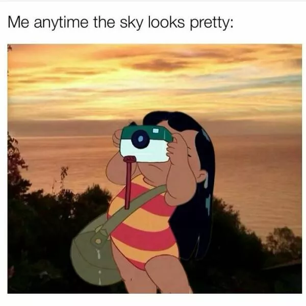 Laughing through lifes mayhem with top notch memes - #28 