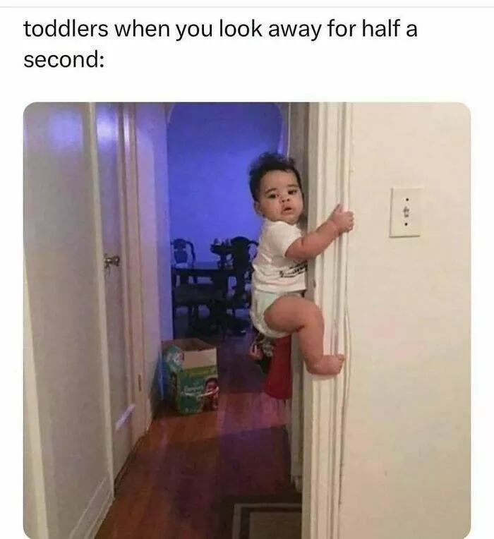 Laughing through lifes mayhem with top notch memes - #31 