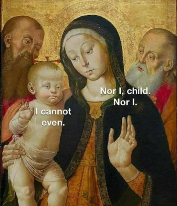 Laughing through lifes mayhem with top notch memes - #32 