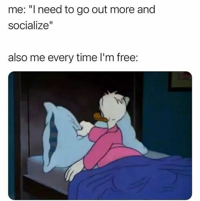 Laughing through lifes mayhem with top notch memes - #33 