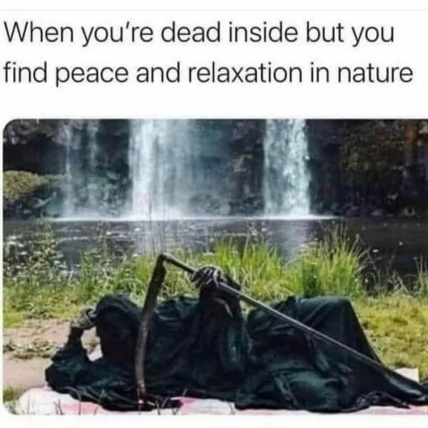 Laughing through lifes mayhem with top notch memes - #34 
