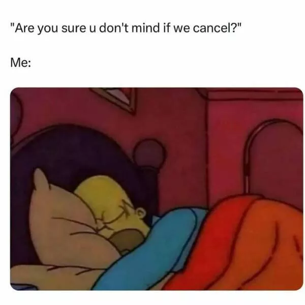 Laughing through lifes mayhem with top notch memes - #36 
