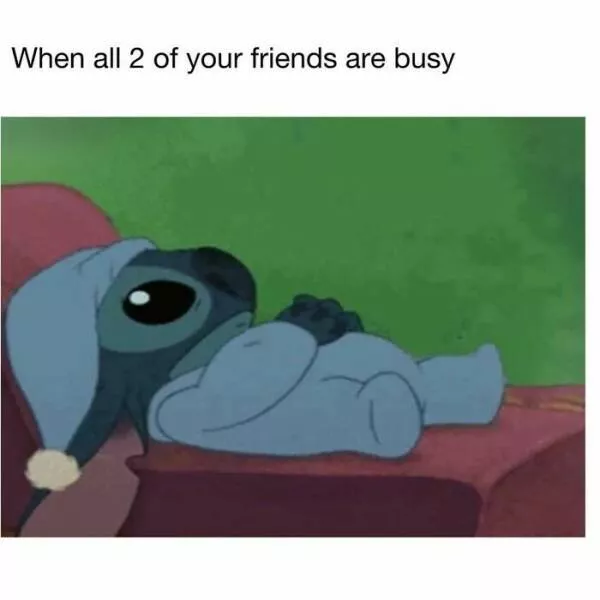 Laughing through lifes mayhem with top notch memes - #38 