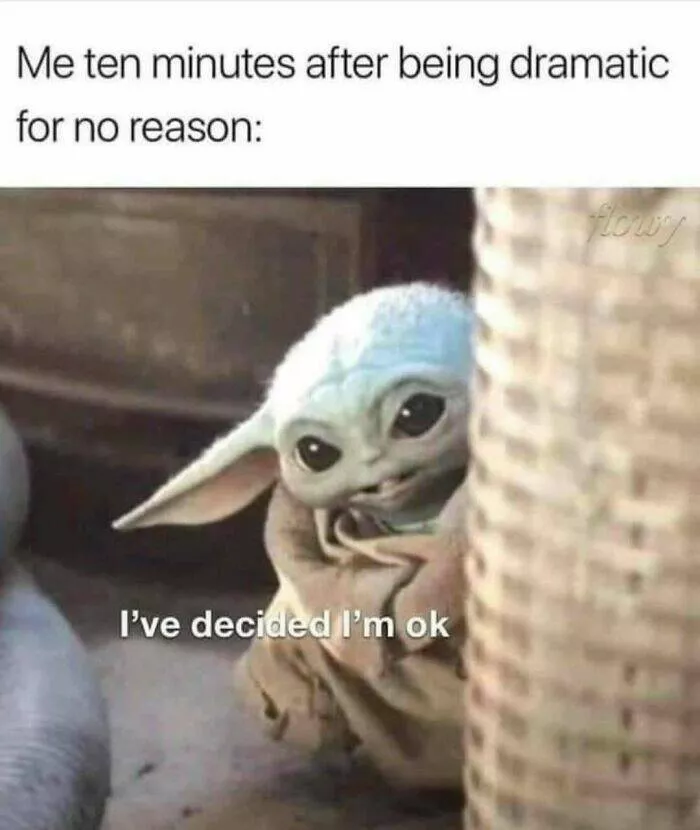 Laughing through lifes mayhem with top notch memes - #7 