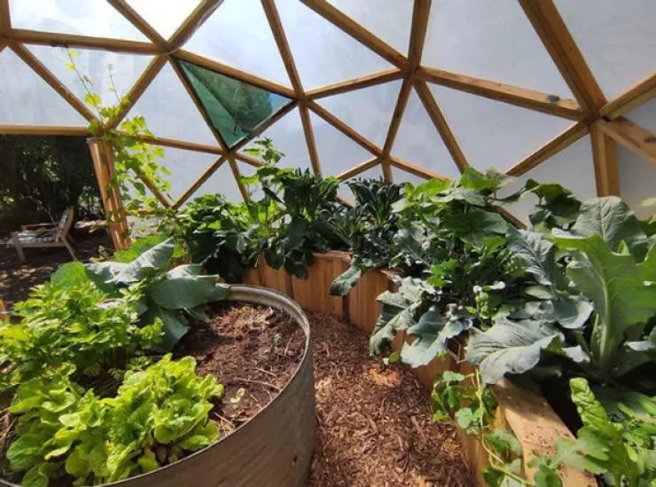 Vivre a la campagne projets qui rechauffent le coeur - #3 Ma serre terminée au printemps dernier, enfin prête Vivre a la campagne projets qui rechauffent le coeur - #3 Ma serre terminée au printemps dernier, enfin prête
