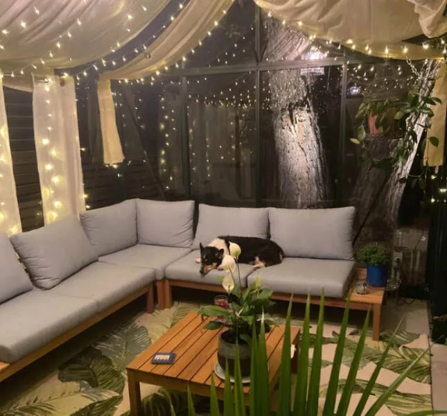 Cozy rural projects that warm the soul - #7 Backyard Bloom: A Greenhouse Built by My Parents