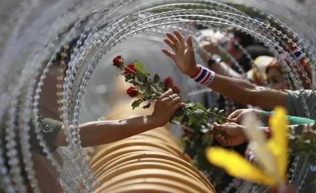 Images calling for peace in the world