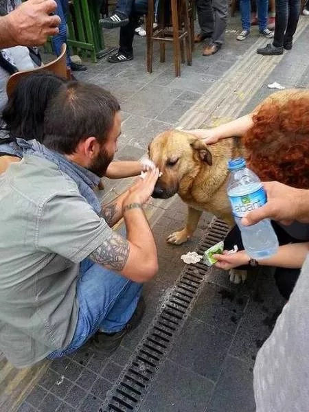 Des images qui appellent a la paix dans le monde - #8 