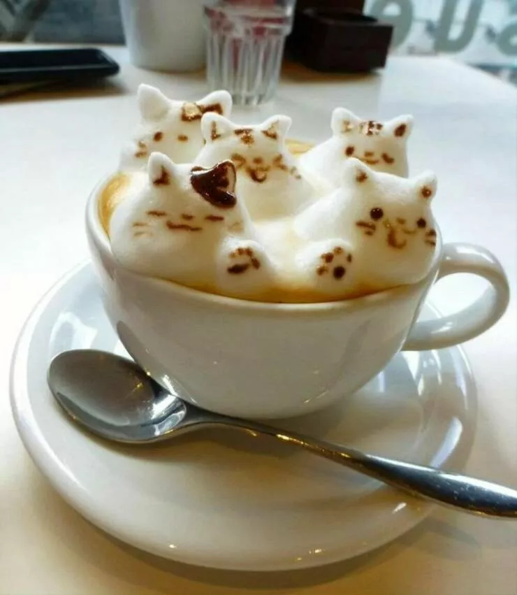 A wild mix of fun and weirdness to brighten your day - #15 